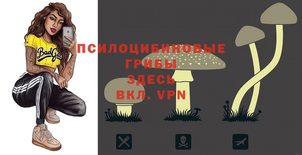 гашик Волосово