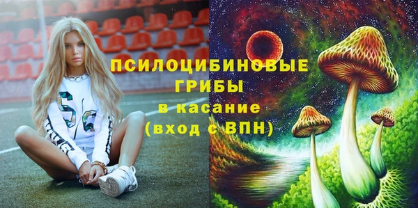 Альфа ПВП Володарск