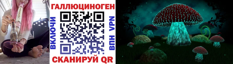 Псилоцибиновые грибы GOLDEN TEACHER  где продают наркотики  Кингисепп 